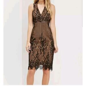 Ministry Of Style Dress Womens 6 Black Nude Sheer Lace Stripe Floral